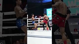 Muay Thai Knockout