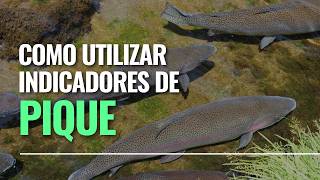 👉 Cuando Usar Indicadores de Pique?? Es Conveniente Utilizarlos?