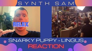 Synth Sam REACTS : Snarky Puppy - Lingus