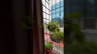 Chennai Rain #chennai #rain #rainnews #nature #subscribe #shortsfeed #shortsvideo #trending #comment