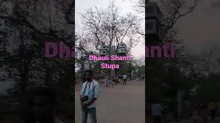 Dhauli Shanti Stupa 🌻