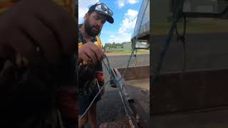 How to tie a truckers knot for your loads on ute or trailer. #knots #howto #education #learning