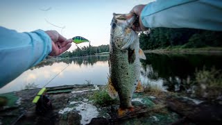 Catching Big Bass in Deep Water! Surprise ending.