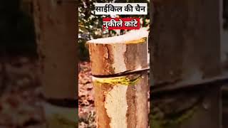 पार्क में गोल और चौकोर पेड़ कैसे उगाते है? | plants trimming |