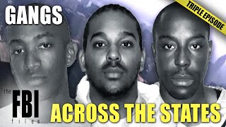 Gangs Across The States | TRIPLE EPISODE | The FBI Files