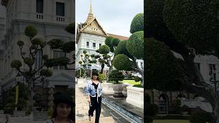 The Grand Palace/ Thailand Bangkok pattaya travel information 🇹🇭 ❤️🥰 #shortvideo #viral #travel