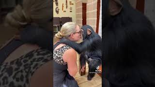 Cutest Monkey Kissing 🐒 Tiktok myrtelbeachsafari #shorts