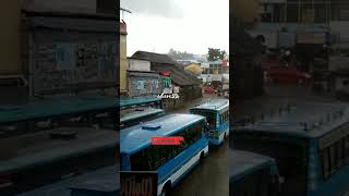 #rain #sby #busstand #wayanad #shorts #shortvideo#shorts