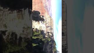 Guy falls off grand canyon