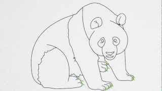 How to draw a PANDA step by step