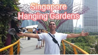 Singapore Beautiful Gardens By The Bay | Nightlife Singapore | Marina Bay Sands | Marina Bay