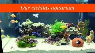 Cichlid tank : Aquarium Series 2