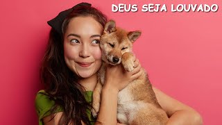 BENEFICIOS DOS PET"S EM NOSSA VIDA | beneficio de tudo