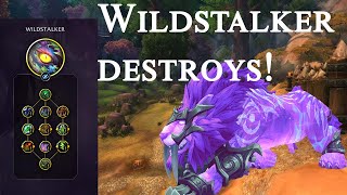 Wildstalker is a monster! - Feral druid pvp the war within