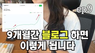 맨땅에서 블로그 9개월동안 해봤더니...(방문자수변화,애드포스트)