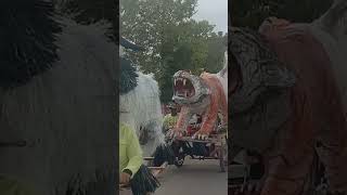 Heboh Ada Macan di Karnaval Kedungwungu Todanan #shorts