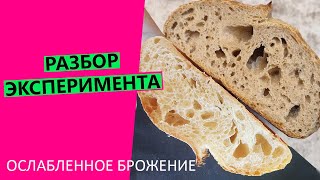 ДЕТАЛЬНЫЙ РАЗБОР 😎эксперимента с ослабленным брожением теста на закваске