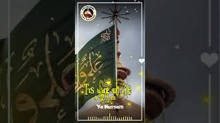 Karbala Na Hoga Dusra  Hussain Kabala | special WhatsApp status #muharram1444  #hussain #ttschannel