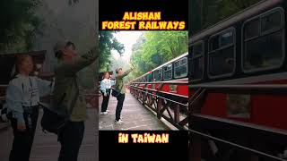 One of our favourite culture in Alishan: Waving hands to every passengers in the train 👋🏻😂❤️