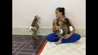 Sister Sovanny Fastest Lip Smacking To Mom Very Gesture Angry & Jealous While Mom Love 3 Siblings...