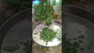 हरी पत्तेदार सब्जियों को इस तरह करें स्टोर #shorts #greenveg  #kitchentrick