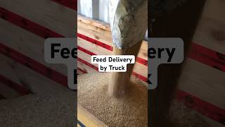 Feed Supply for the next 6 Month… #canada #farming #manitoba #farm #feed #storage #chicken #rabbits