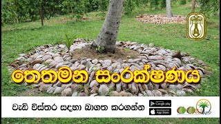 තෙතමන සංරක්ෂණය