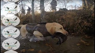 Arkansas Waterfowl Hunting - St. Charles AR Popa Duck - Dec 15, 2017