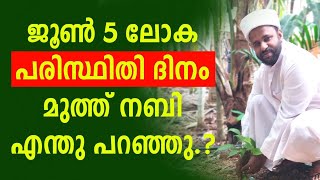 ജൂൺ 5 ലോക പരിസ്ഥിതി ദിനം മുത്ത് നബി എന്തു പറഞ്ഞു | Voice of Sadiq Ahsani