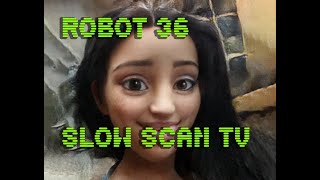 0118 Toonify SSTV Robot36