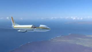 Aloha Airlines Flight 243 - Incident & Landing Animation