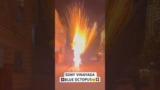 BEST SKYSHOT BLUE OCTOPUS SONY VINAYAGA TESTING CRACKERS Diwali Stash 2024#patakhe #crackers