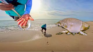 How to catch sand fleas | inshore fishing | beach fishing | florida fishing