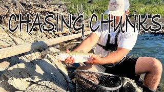 Chasing Chunks EP: 1 High Water Trout