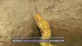 Languages That Support Object-Oriented Programming