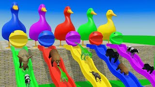 Rescue Cows, Dinosaurs, Sharks, Godzilla, Bears | Funny Animals Challenges 3D Animation