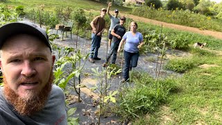 Mater Pickin’ Patch 2024