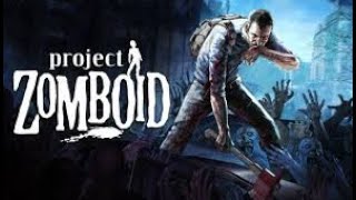 Project Zomboid: Building the basics