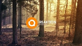 Reaktion - Parkour