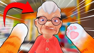 I FOUGHT MY GRANDMA in I AM CAT VR!