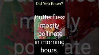 Did you Know???| Interesting Facts about Butterflies 🦋🦋🦋 #shorts #science  #y2kcoachingclasses