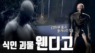 쏟아져 나오는 목격담! 식인 괴물 '웬디고' 미국을 뒤덮은 충격적인 동영상 공개! [지식의 발견]