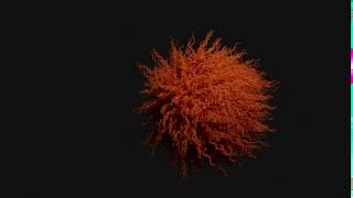 Hairy Ball Simulation Test