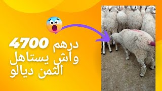 واش يستاهل ثمن ديالو 4700 درهم 😱👀