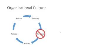 Organizational Culture