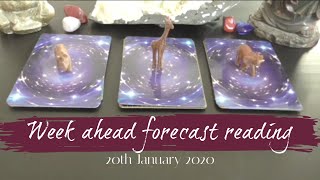 🔮Pick a Card 🔮Week Ahead Forecast reading 20th January tarot reading