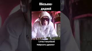 Обезьяна-диджей. Нейросеть удивляет #shorts #ai #neuralnetwork #dj