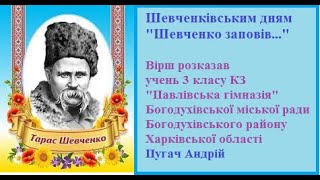 Відеочелендж Шевченко заповів    Пугач А