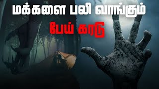 Real Life Ghost Stories | மக்களை பலி வாங்கும் பேய் கரடு | @vlvikram