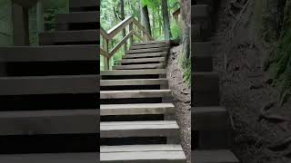 Epic Stair Climb in Lynn Canyon Park, Vancouver! Relaxing Background Music